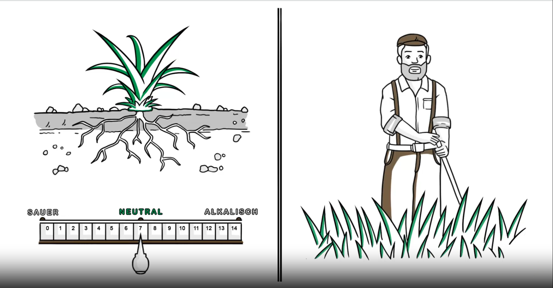 Illustration showing plant roots in soil alongside a gardener, with a pH scale indicating acidity and alkalinity.